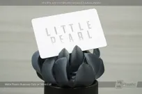 Matte-Plastic-Business-Card-With-Spot-Foil-Design-Little-Pearl