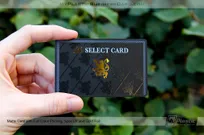 MPBC-Matte-Plastic-Business-Card-With-Spot-UV-Gloss-And-Gold-Foil-Stamp
