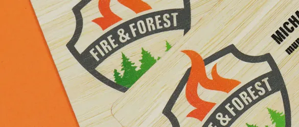 Bamboo Vibrant Print Colors