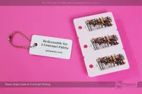 Plastic-Snap-Cards-Full-Color-Printing-Paleta