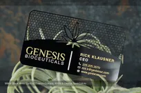 Mirror-Black-Metal-Card-Cutouts-Silver-Etch-Gold-Genesis