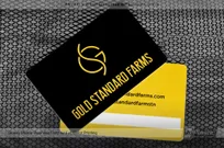 Glossy-Plastic-Business-Card-Gold-Standard(1)